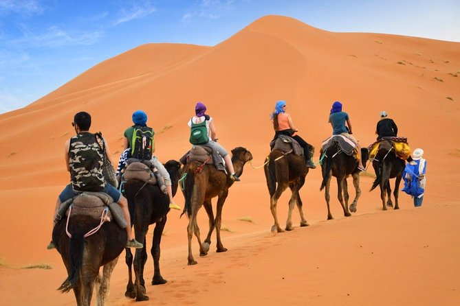 Luxury Private 4-Day Camel Trekking and Kasbah Trail from Marrakech - Why this Marrakech desert route feels different