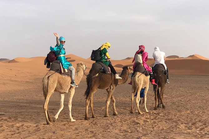 Luxury Private 4-Day Camel Trekking and Kasbah Trail from Marrakech - Price and what you actually get for $785.35