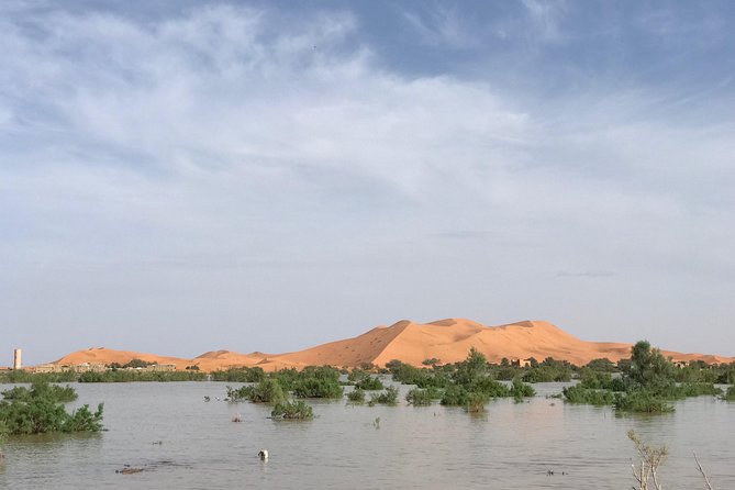 Luxury Private 4-Day Camel Trekking and Kasbah Trail from Marrakech - Day 3: Draa Valley views, Ait Dawn pass, and an Ouarzazate riad night