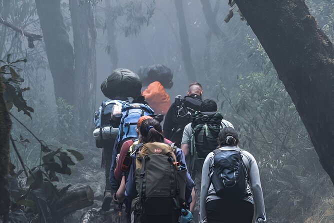 Machame Route 7-Day Private Kilimanjaro Trek - From Moshi to Machame Gate: Day 1 sets the tone fast