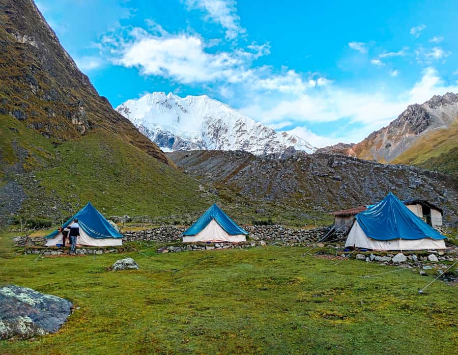Machu Picchu: 5-Day Salkantay Trek with Panoramic Train - Day 5: Sunrise bus, guided Machu Picchu, then Vistadome or 360° back to Cusco