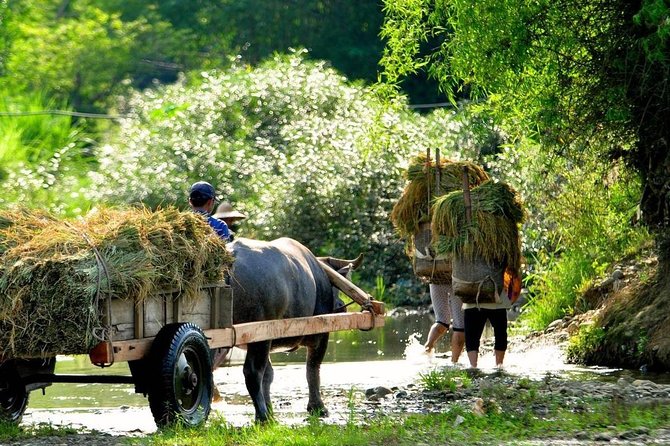 Mai Chau - Pu Luong trekking 3 days 2 nights - Guides you might meet and why their style affects the whole trip