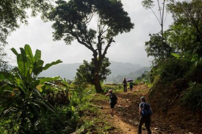Mai Chau - Pu Luong trekking 3 days 2 nights - Day 3: shorter trekking, steep climbs, and valley views before heading back