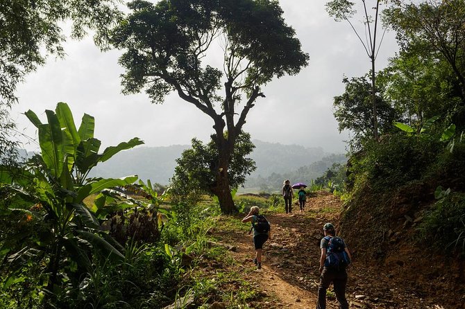 Mai Chau - Pu Luong trekking 3 days 2 nights - Day 3: shorter trekking, steep climbs, and valley views before heading back