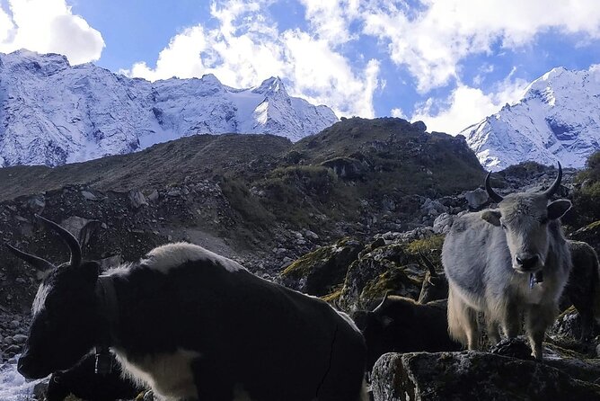 Manaslu Circuit Trek: - Key things to know before you start the Manaslu Circuit