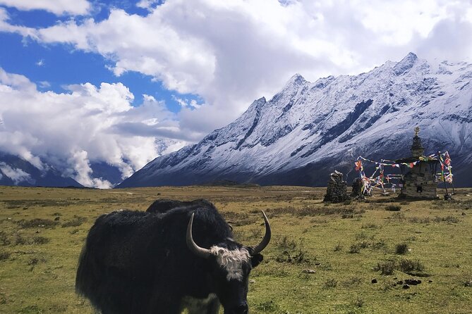 Manaslu Circuit Trek: - Samagaon and Samdo: acclimatization plus Tibetan-flavored village life