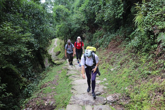 Mardi Himal Base Camp Trek (5 Days) - Key things that make this trek worth your time