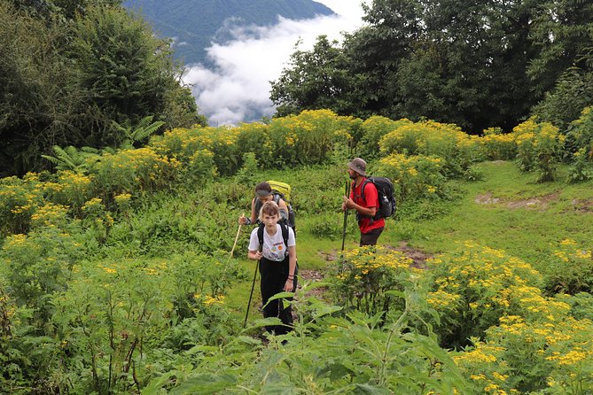 Mardi Himal Base Camp Trek (5 Days) - Why Mardi Himal feels different from the bigger Annapurna routes
