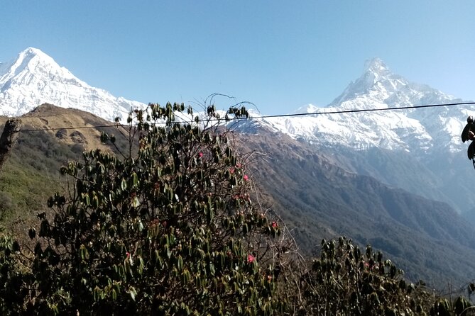 Mardi Himal Newly Discovered Trekking from Pokhara Nepal - Guides make the difference (Milan Rai, Bikram, Sunil Dahal)