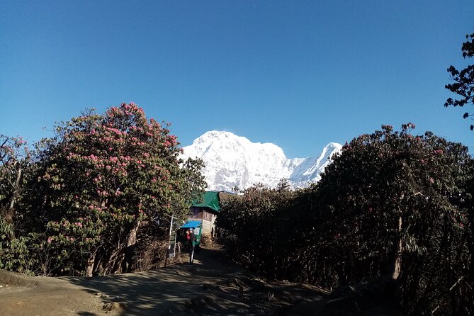Mardi Himal Newly Discovered Trekking from Pokhara Nepal - What to pack and plan: meals, snacks, and long walking days