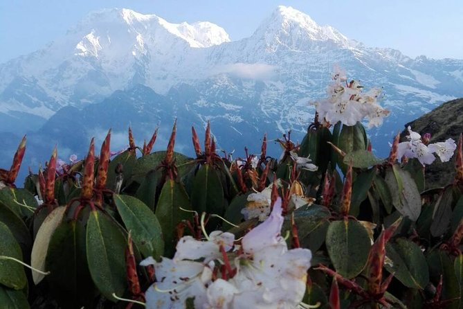 Mardi Himal Trek - 12 Days - Pokhara Lakeside: Calm After Kathmandu Noise