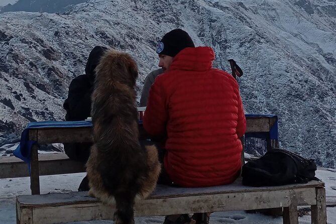 Mardi Himal Trek 4N-5D - Why Mardi Himal feels quieter than the Annapurna headline routes