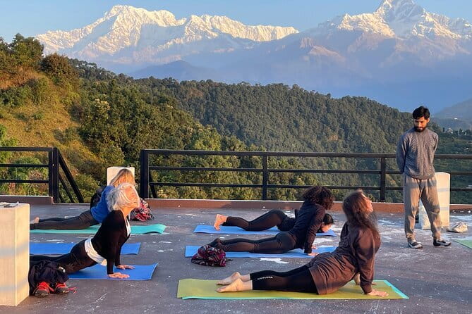 Mardi Himal Trek -5 Day Short Trek From Pokhara - High Camp day: leave the trees, hit the grass, and catch Annapurna angles