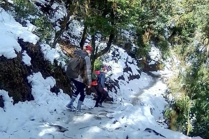 Mardi Himal Trek - Day 3: Mardi Himal Base Camp or View Point—pick the experience you want