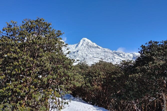 Mardi Himal Trek - Before You Go: Fitness, Altitude, and What to Expect