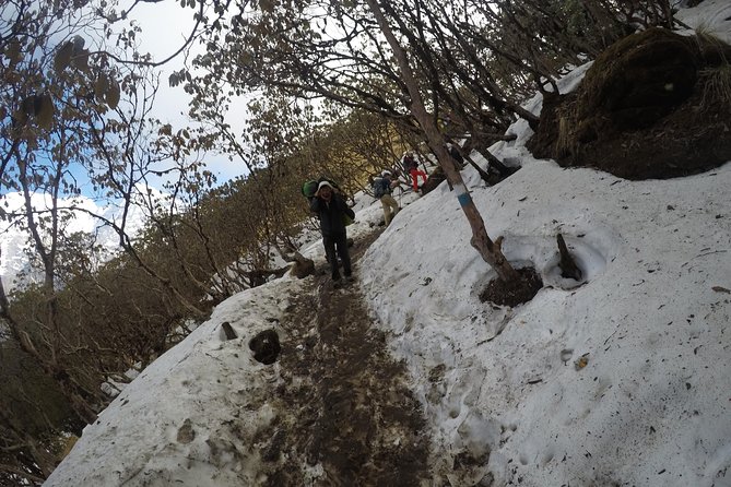 Mardi Himal Trekking - Guides and Porters: The Names That Show Up Again and Again