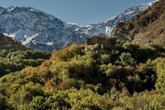 Marrakech: 2-Day Atlas Mountains Trek with Village Stay - Walnut grove lunch by the river, then the drive back to Marrakech