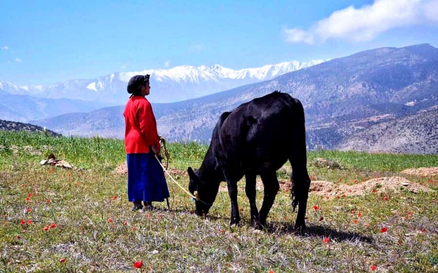 Marrakech: 2-Day Atlas Villages Trekking Tour - Day 1: The mountain drive, argan cooperatives, and Tinmel School