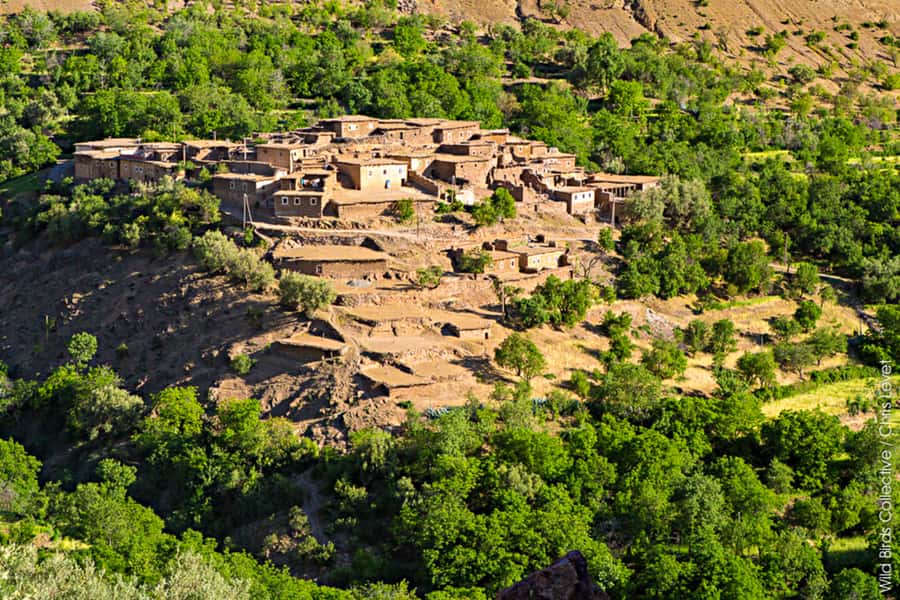 Marrakech: 3-Day High Atlas Mountains and Three Valleys Trek - Quick Hits: What Makes This High Atlas Trek Special