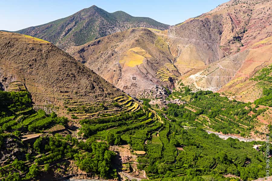 Marrakech: 3-Day High Atlas Mountains and Three Valleys Trek - Should You Book This Marrakech to High Atlas 3-Day Trek?