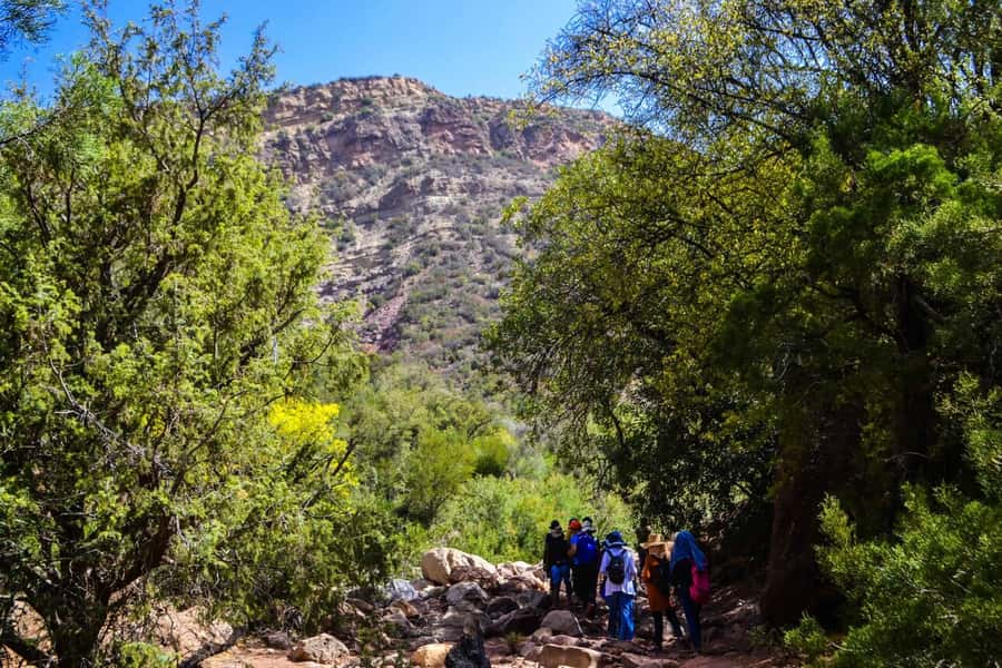 Marrakech: 3-Day High Atlas Mountains and Three Valleys Trek - Day 3: Toubkal National Park Waterfalls, Tizi Mazik (2500m), and Back to Marrakech