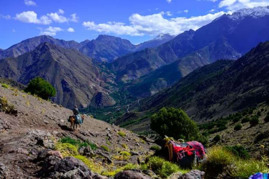 Marrakech: 3-Day High Atlas Mountains and Three Valleys Trek - Price and Value: What $227 Covers (and What You’ll Still Pay For)
