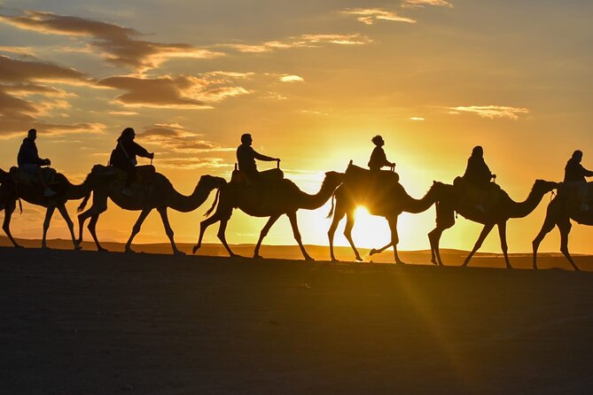 Marrakech: Agafay Desert Quad Biking & Camel Trek & Dinner & Show - Key takeaways before you go