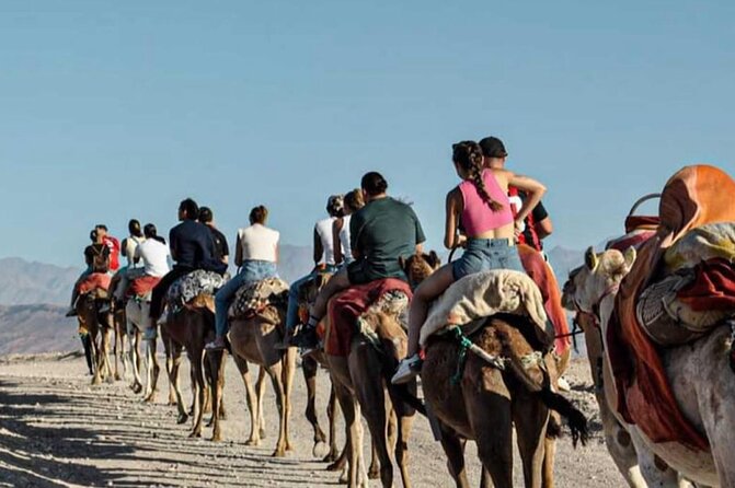Marrakech: Agafay Desert Quad Biking & Camel Trek & Dinner & Show - The camel ride: 20 minutes of classic Agafay atmosphere