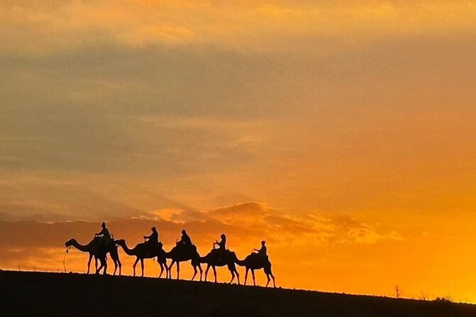 Marrakech: Agafay Desert Quad Biking & Camel Trek & Dinner & Show - Quad biking: 40 minutes, two people per quad