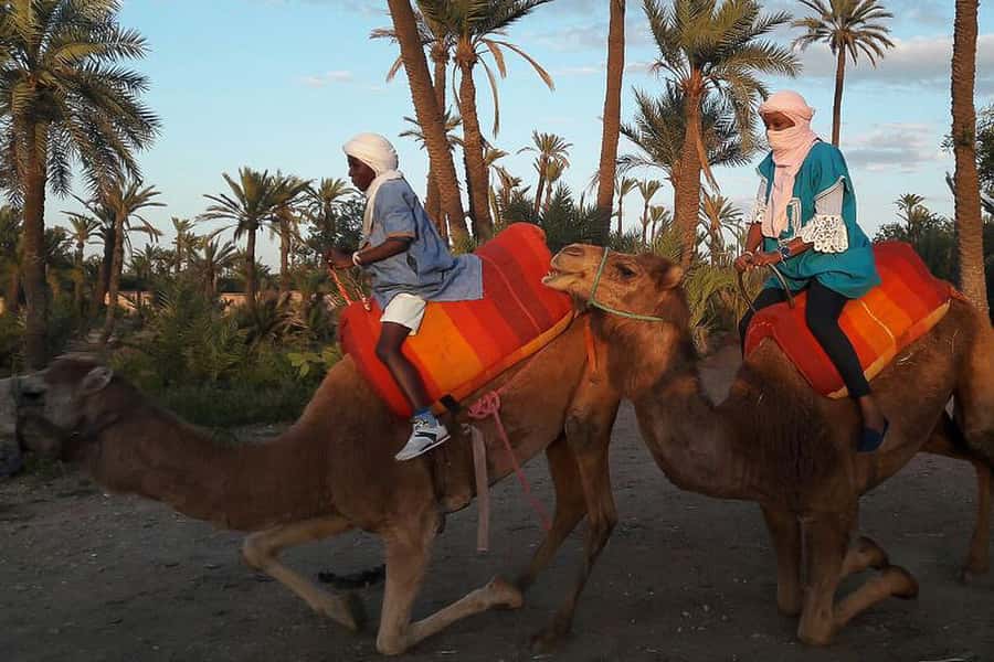 Marrakech: Camel Trek - Key things to know before you book