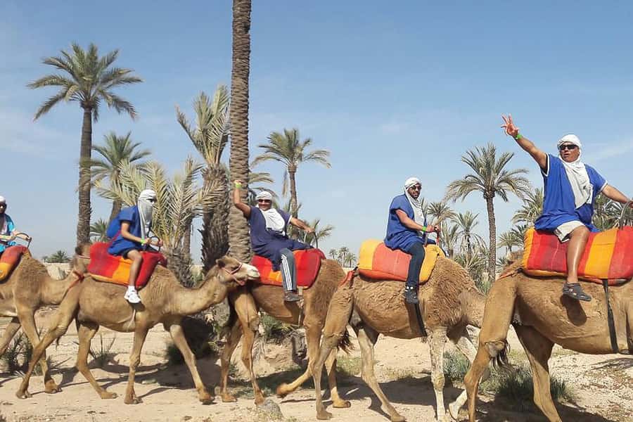 Marrakech: Camel Trek - Who This Marrakech Camel Trek Fits Best (and Who Should Skip It)