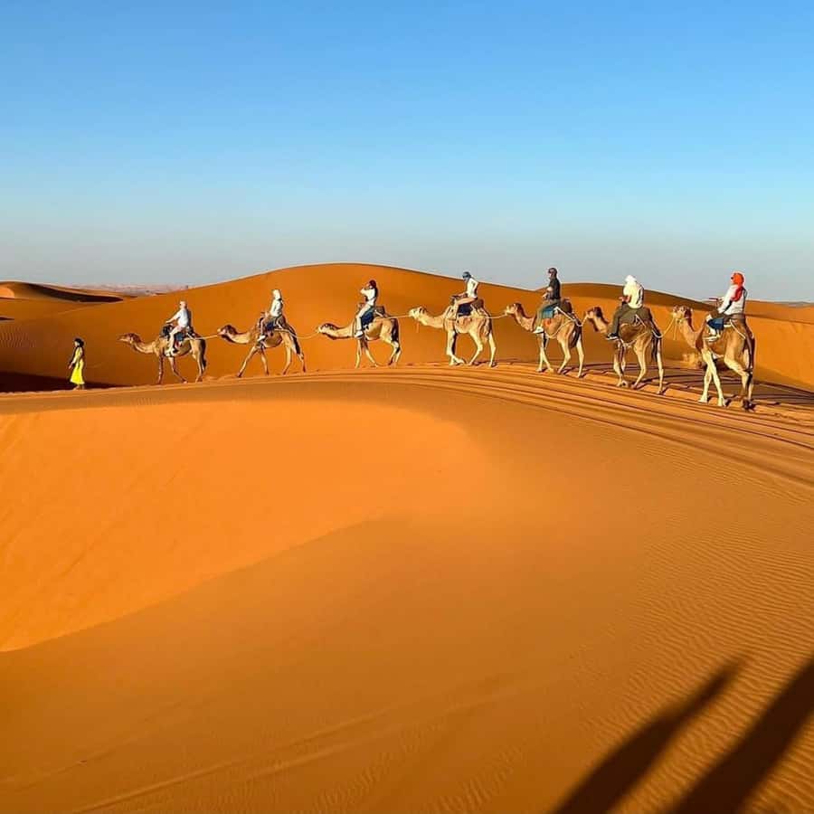 Marrakech Desert Tours 3 Days with Camel Trek and Camping - Day 1: High Atlas, Tizi n’Tichka, and UNESCO Ait Benhaddou Kasbah