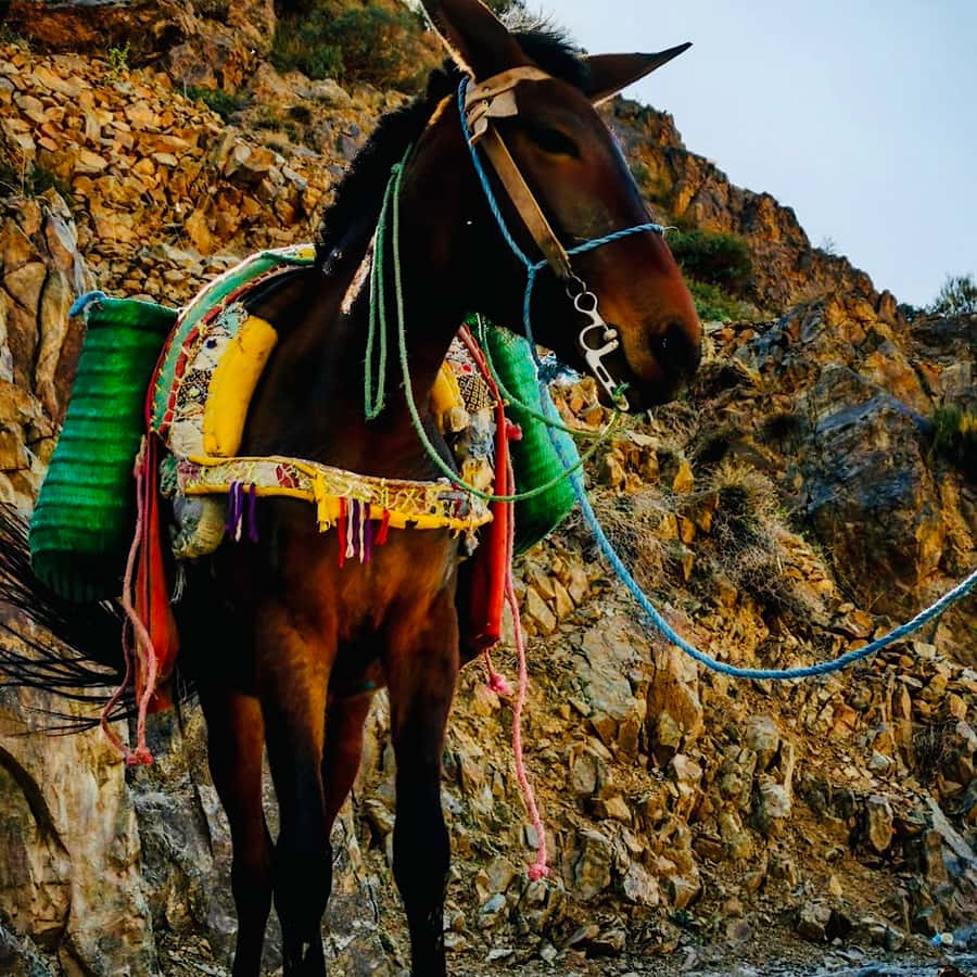 Marrakech: Guided 2-Day Trek to Imlil and Imnan Valleys - How the Guide Affects Your Day: Flexible Pace, Real Safety