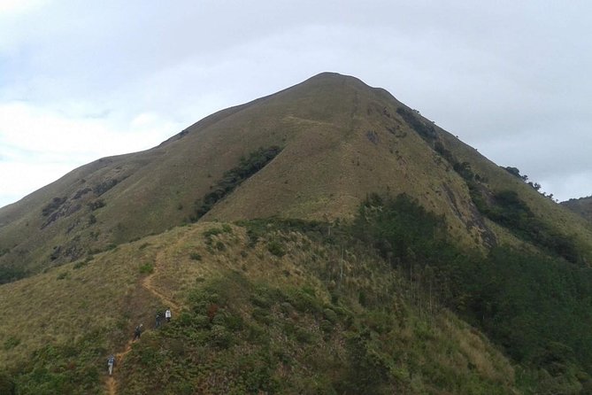 Meesapulimala Sunrise trek( By Munnar Info) - A Private Trek You Can Actually Control
