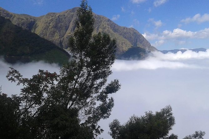 Meesapulimala Sunrise trek( By Munnar Info) - Price and Value: What $130 Buys You