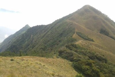 Meesapulimala Sunrise trek( By Munnar Info) - Trail Variety: Forests, Pine, Meadows, and Rhododendrons