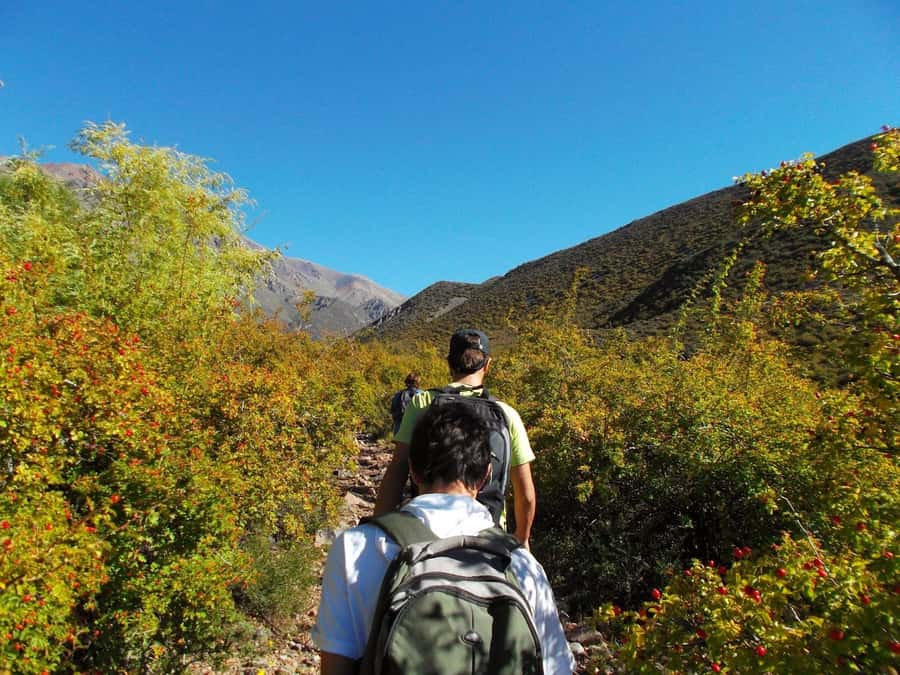 Mendoza: 4-Hour Mountain Trekking With Lunch - Summit payoff: Cordón del Plata and Lake Calavera at the top