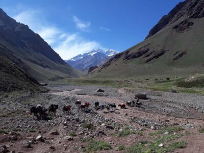 Mendoza: Mt. Aconcagua Confluencia Camp Trekking - The drive: Cacheuta, Potrerillos Dam, Uspallata, Puente del Inca (then the climb)