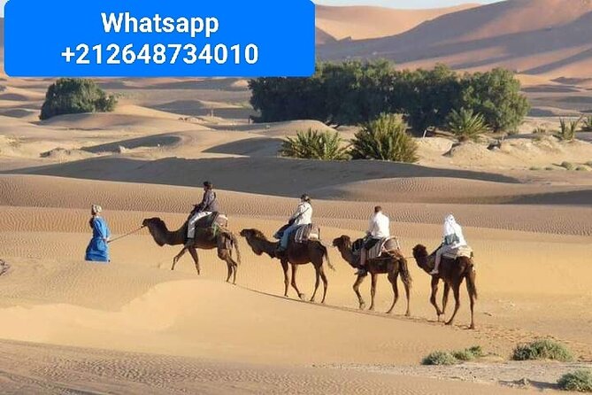 Merzouga Camel Trekking 1 Night Experience - Key things I’d mark on your mental map