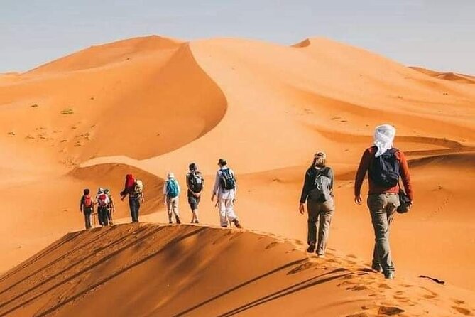 Merzouga Camel Trekking 1 Night Experience - Merzouga 1-night style: why this works better than a day trip