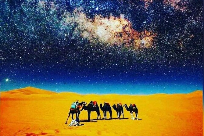 Merzouga Camel Trekking 1 Night Experience - Price and value: what $81.30 includes, and what to budget for