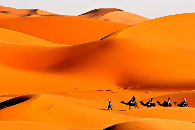Merzouga Camel Trekking & Overnight Desert Camp - Camel trekking over Erg Chebbi: sunset views and real riding time