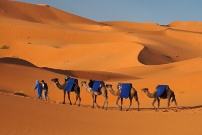 MERZOUGA DESERT TREK - 3 DAYS From Marrakech - Day 1 strategy tip: don’t wait until the last minute for comfort