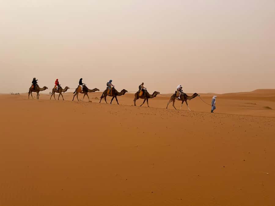Merzouga: Overnight Camel Trek with Sandboarding - Dinner, Mint Tea, and the Sunset-to-Stars Transition