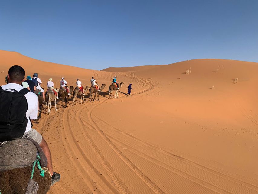 Merzouga: Overnight Camel Trek with Sandboarding - Sunrise Back on the Dunes and Breakfast That Powers the Return