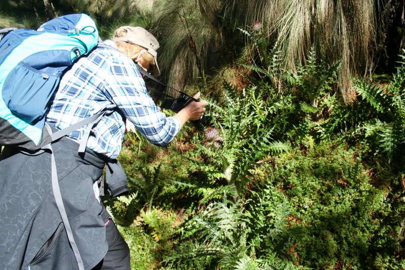 Mexico City: Guided Volcano Trek with Lunch - From Mexico City to Puebla’s Volcano Zone in a Single Day