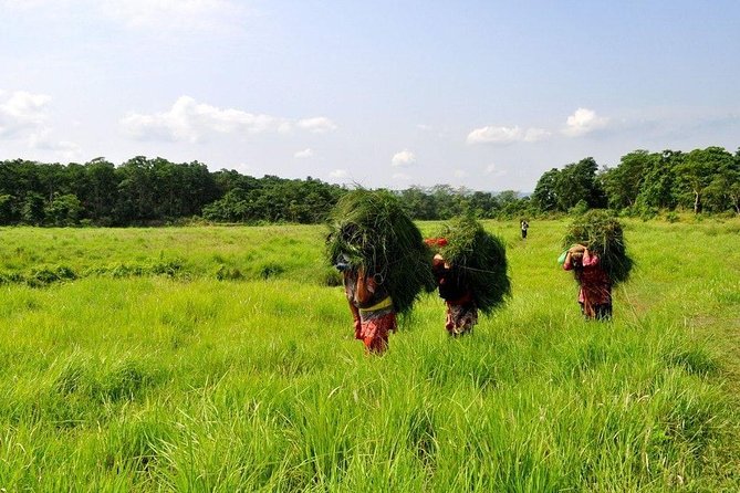 Millennium Homestay Trek - Gurung villages and Gharedi: walking with ethnic variety