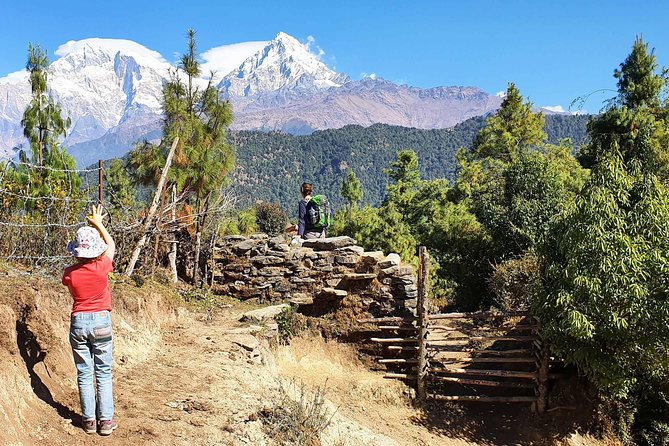 Mohare Danda Trek - Trail culture: Magar villages, Poon Magar traditions, and everyday hospitality