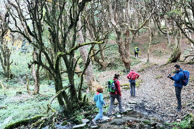 Mohare Danda Trek - Packing and comfort: sleeping bag, down jacket, and altitude planning