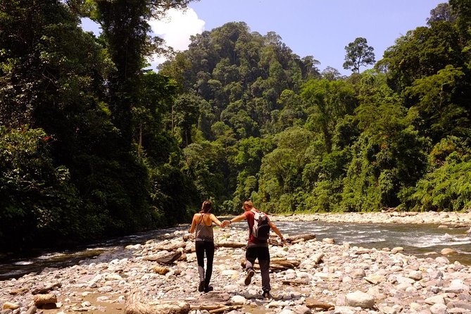 Monkey Business 3 days - 2 nights Jungle trekking (including rafting) - Guides, Camp Life, and Food: The Stuff That Makes It Feel Worth It